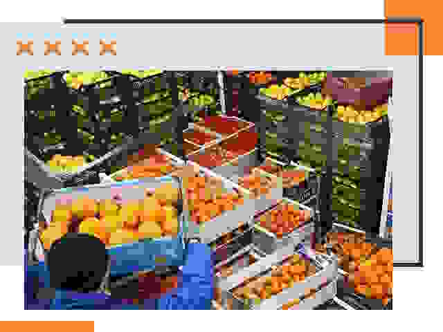 Перевозка скоропортящихся продуктов в Элисте